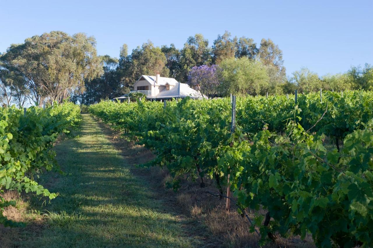 Hotel Spicers Vineyards Estate Pokolbin Esterno foto